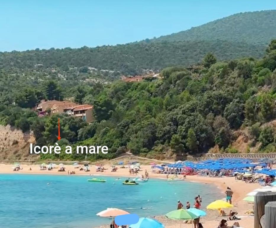 Icore a mare IUN T7289 - 6