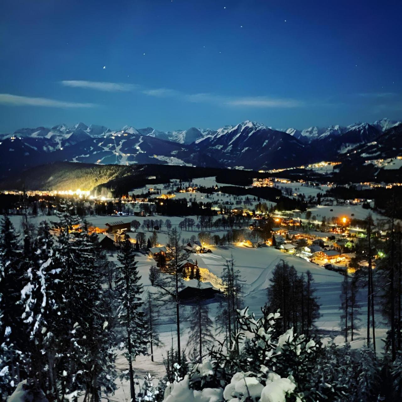 Austrian Alpine Apartments photo 2