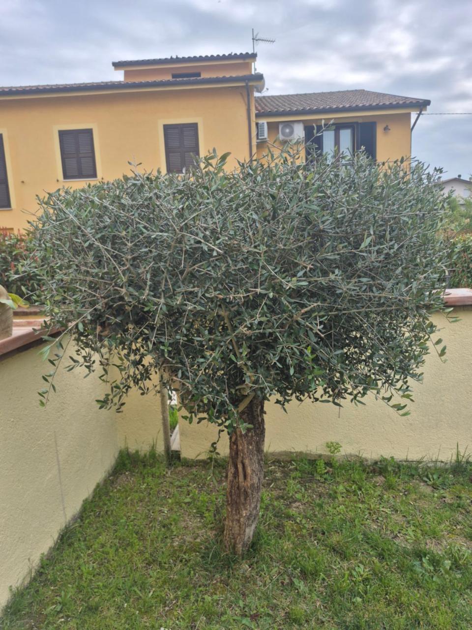 House Barbanera - 6