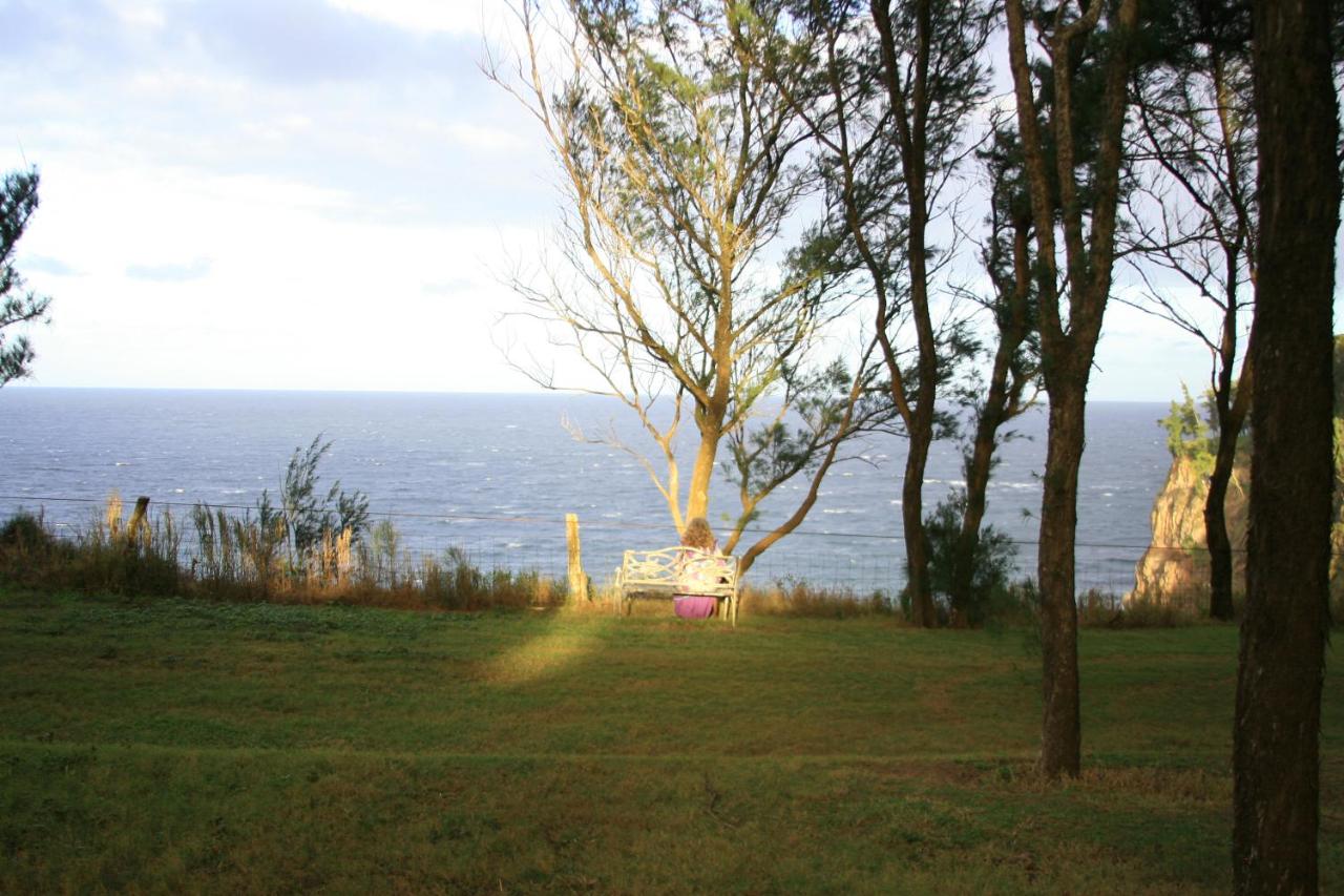 Hawaii Island Retreat at Ahu Pohaku Ho`omaluhia photo 2