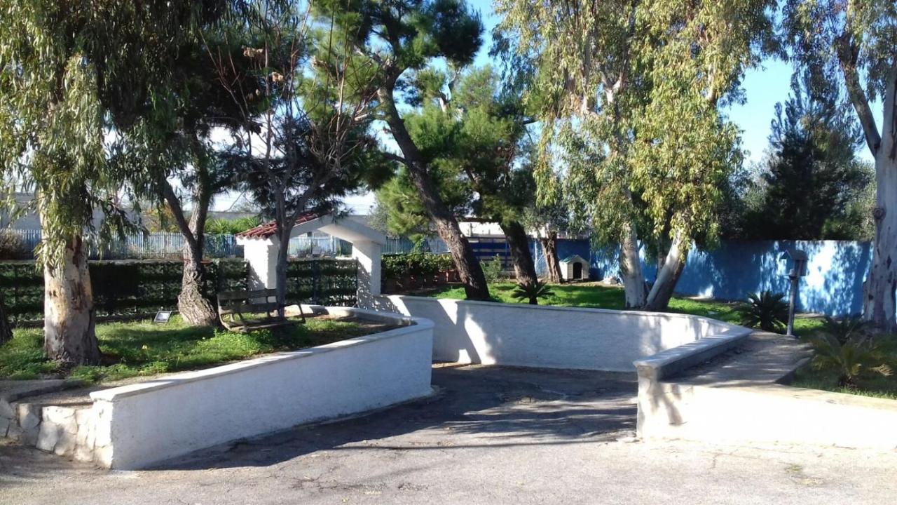i girasoli srls photo 4