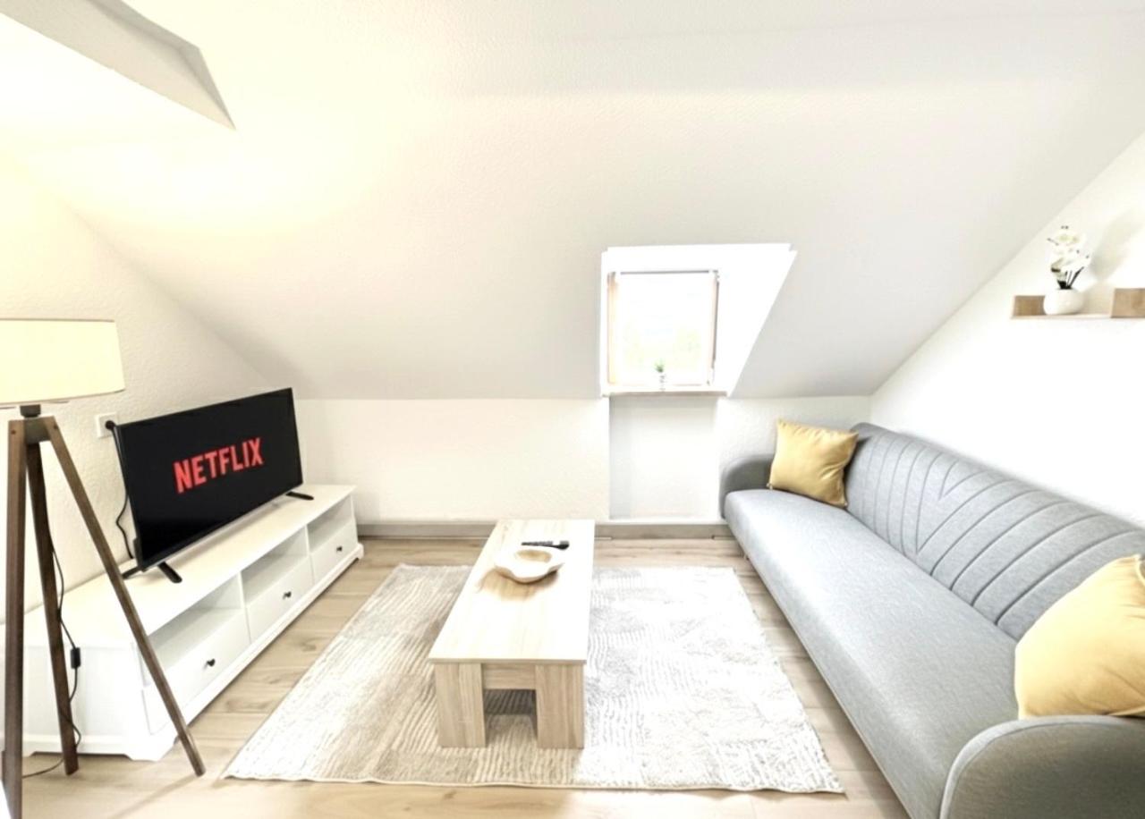 MUEL Apartment DG am Dreiländereck DE,CH,FR - 6