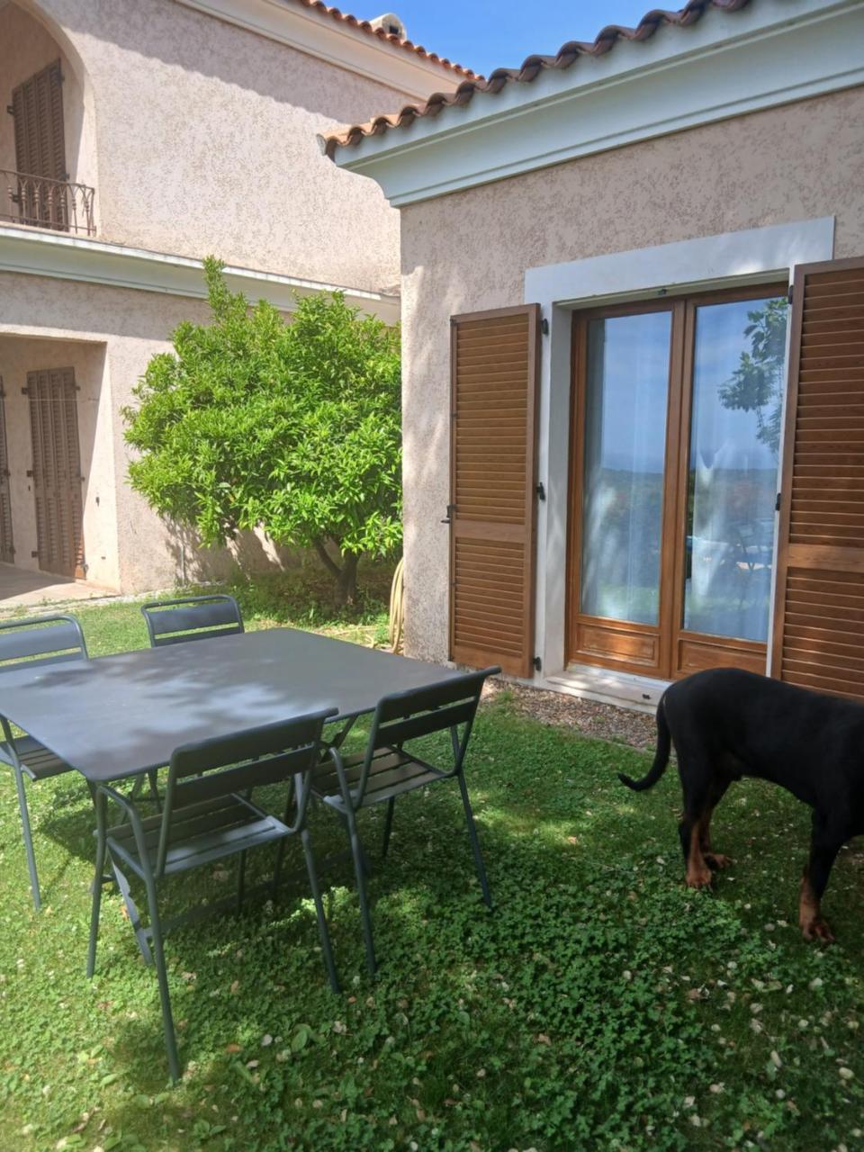 joli appartement lumio - 3