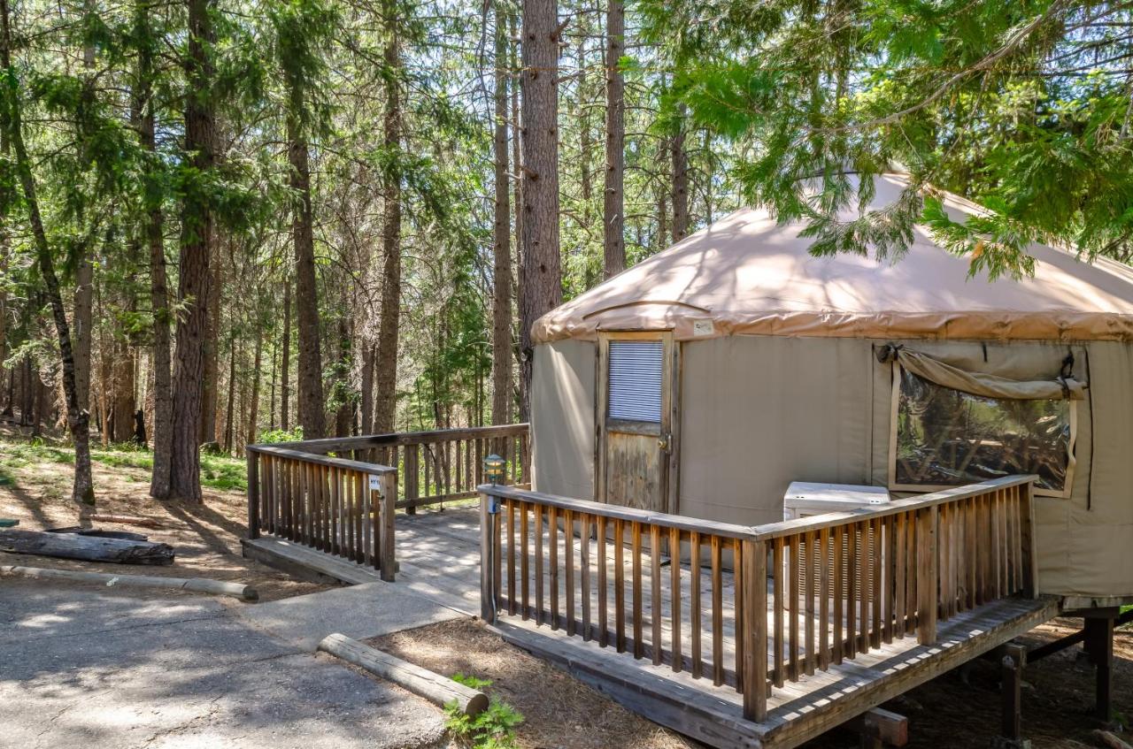 Yosemite Lakes Yurts photo 4