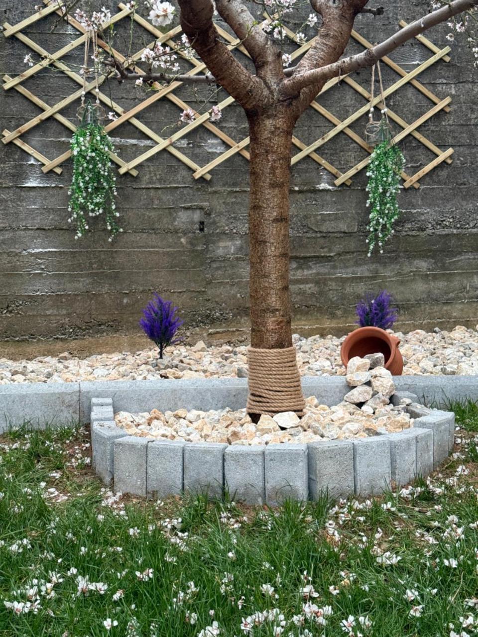 Elatovillage - 3