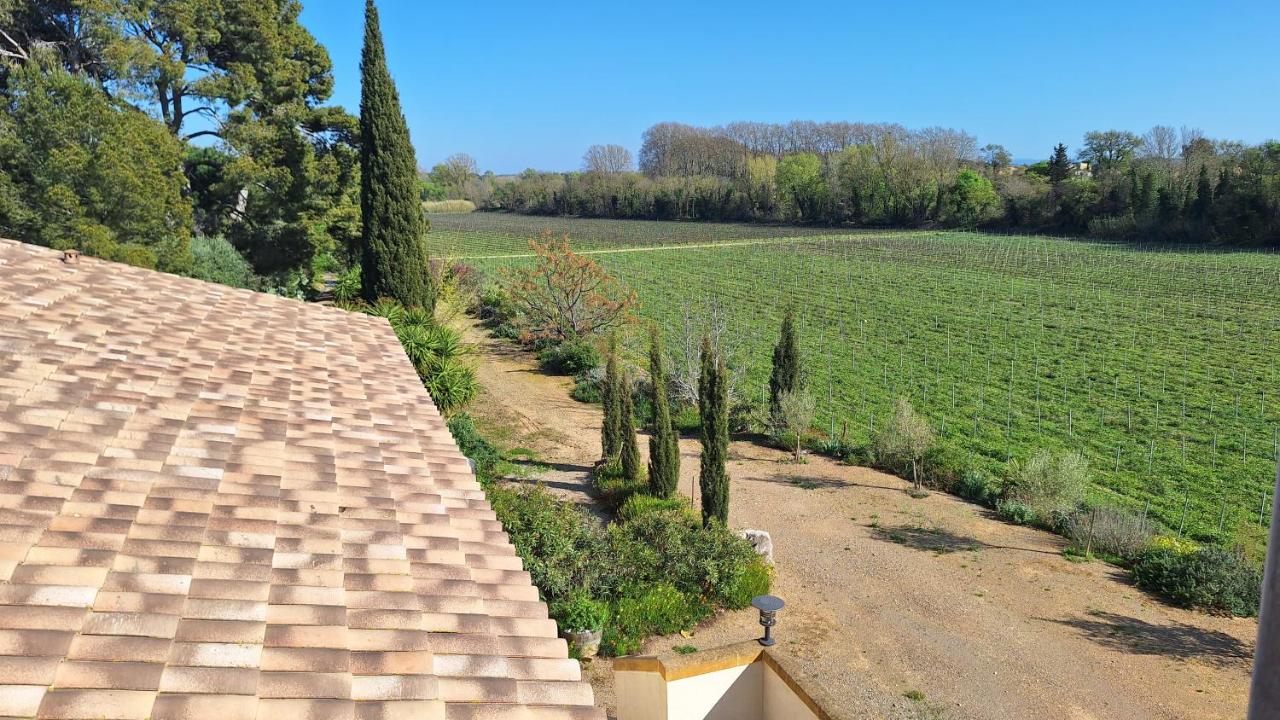 Domaine de l’Herbe Sainte - 3