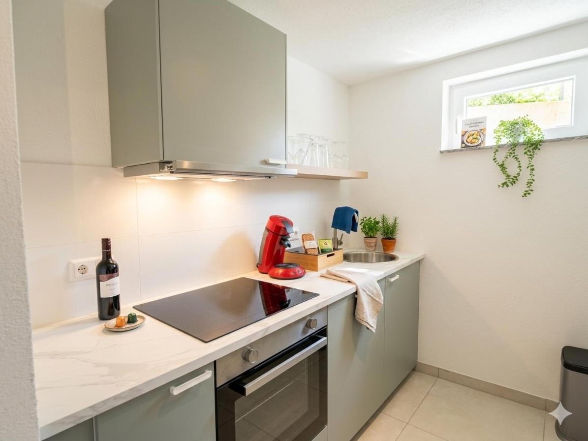 Premium-Apartment, 4 Betten, Nahe Ulm für Familien und Gruppen,Hund - 4
