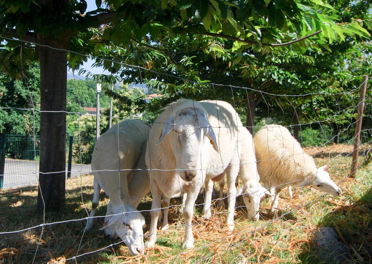 Quinta do Alto photo 2