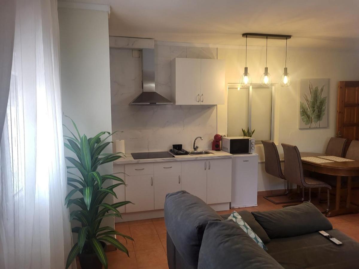 Large and cozy studio - 2