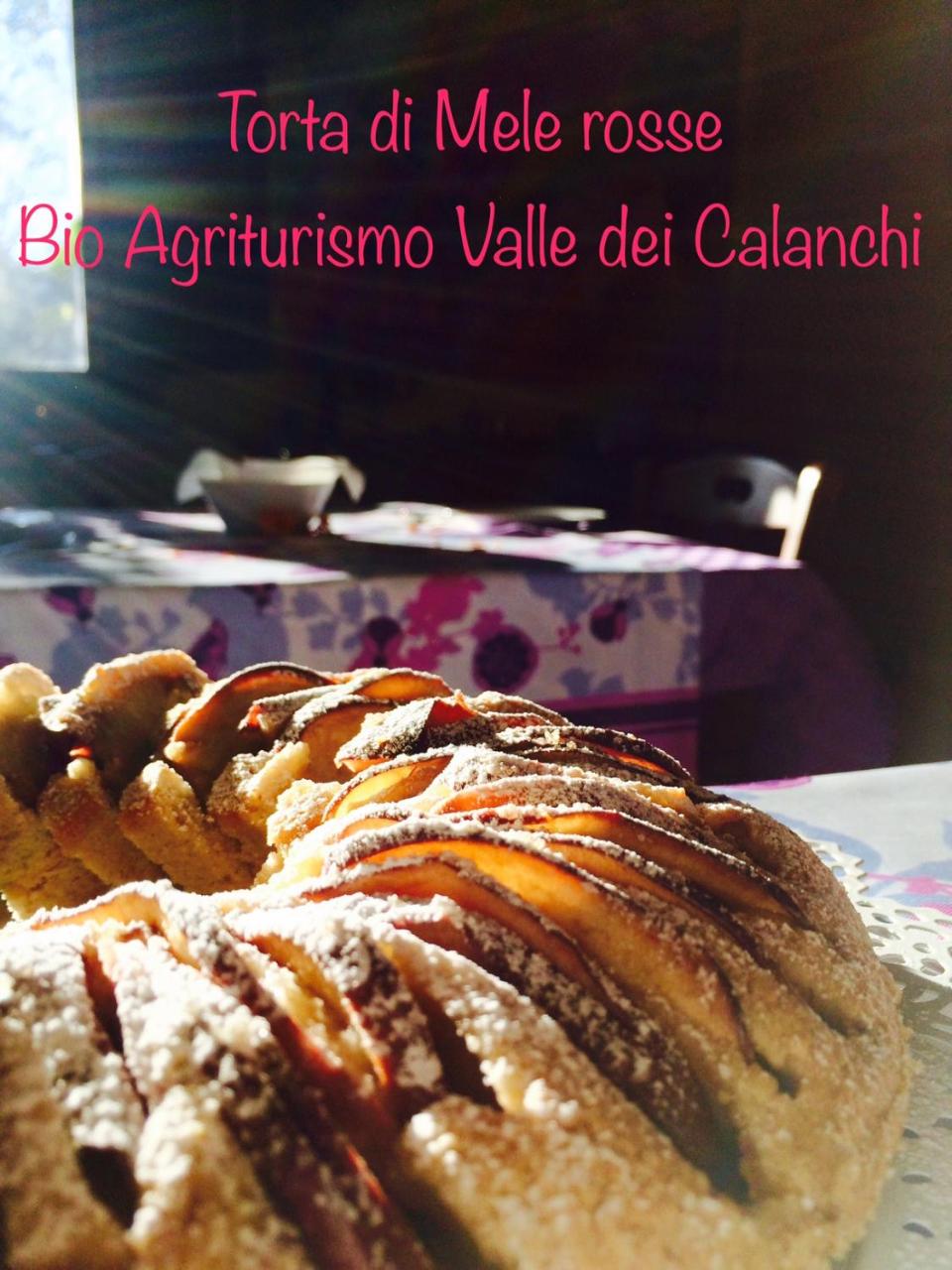 Bio Agriturismo Valle dei Calanchi photo 4