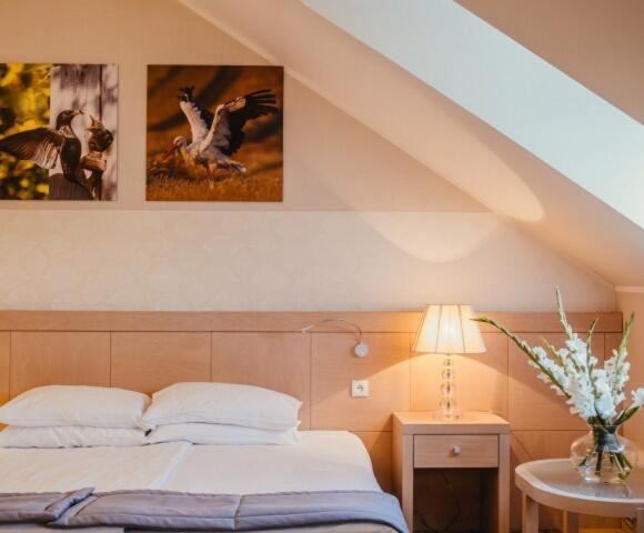 Photo - Hanza Pałac Wellness & SPA