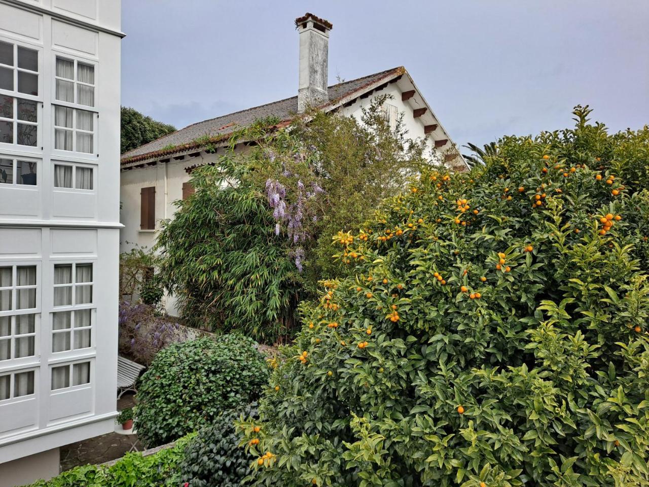 CASA JARDIN en FERROL VELLO - 3