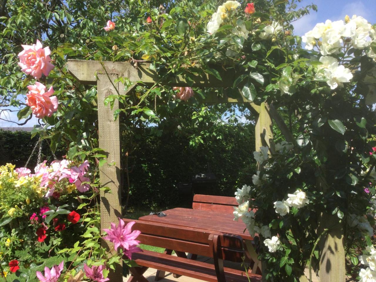 Angel Cottage - 3