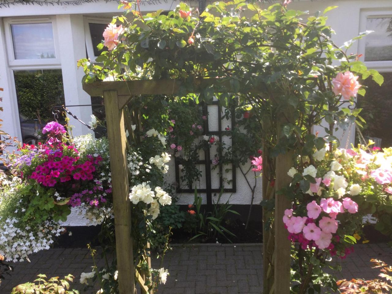 Angel Cottage - 2