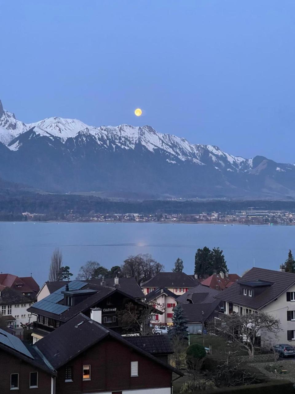 Mon Bijou Chalet au Lac Alpin - 4