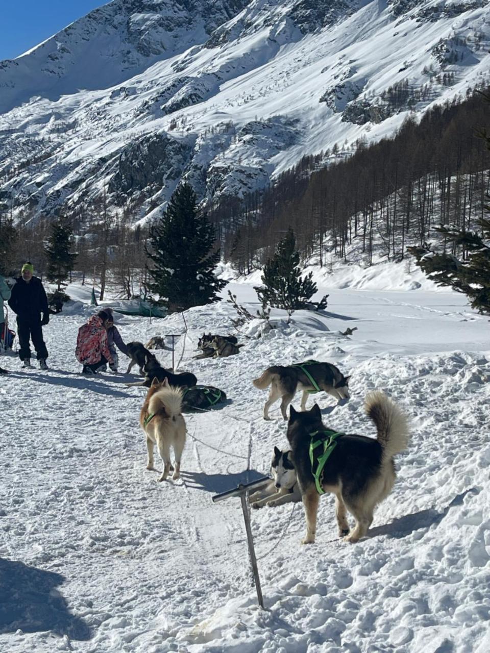 Hotel Chalet du Soleil photo 2