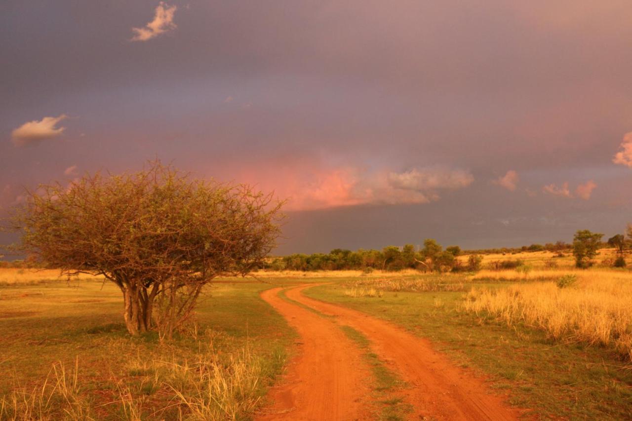 Thorn Tree Bush Camp photo 2