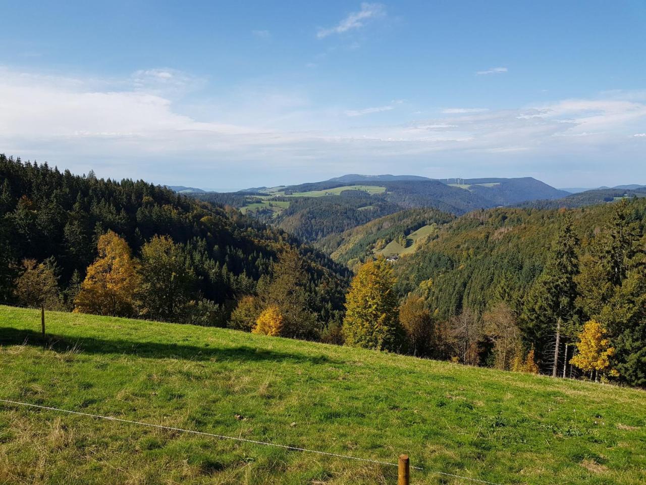 Ferienwohnungen Schönwald - 4