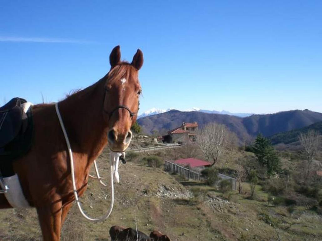 Casa della Barcareccia - per gruppi photo 2