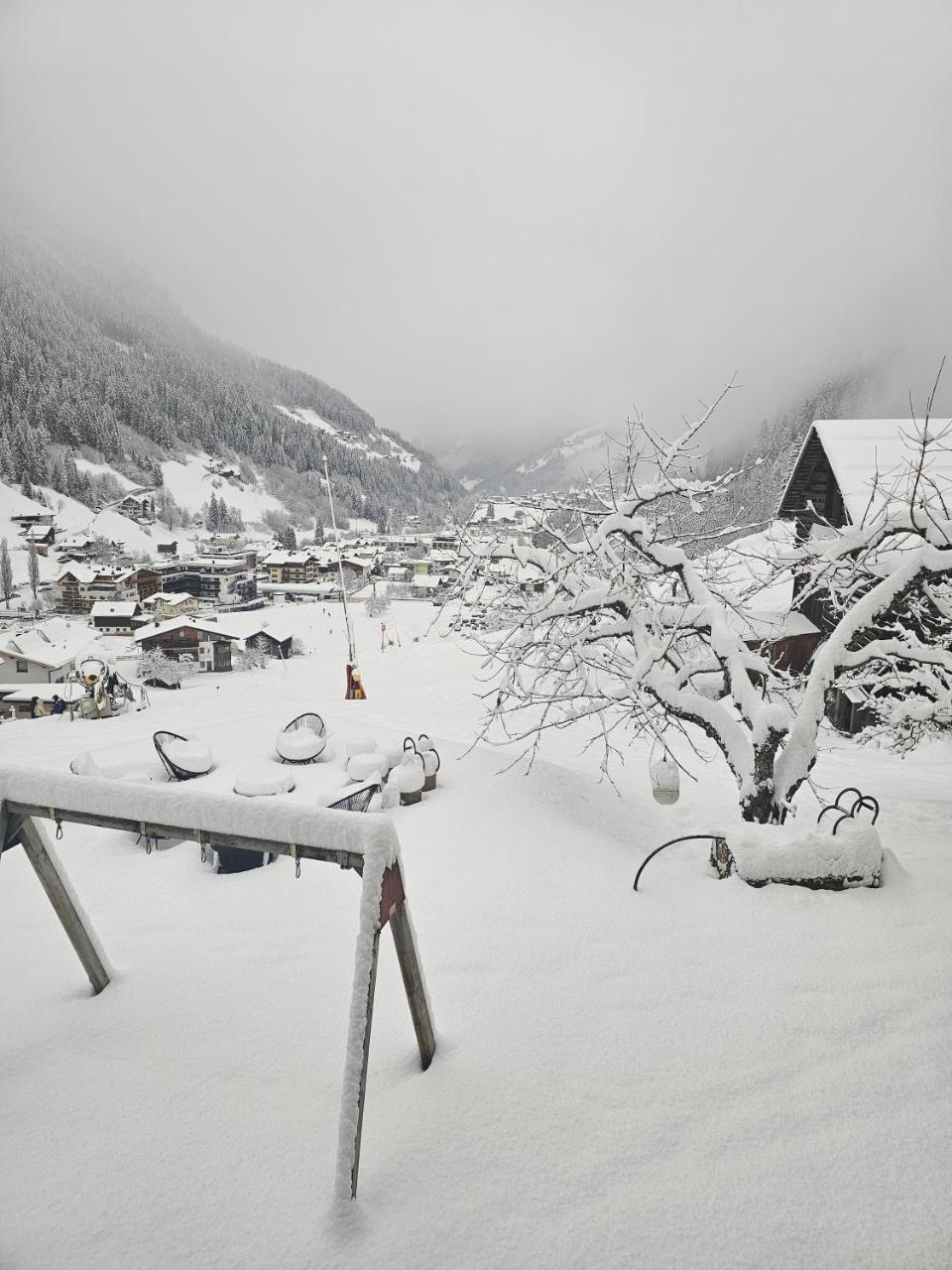 Lieblingsplatz - Ski in und Ski out - 5