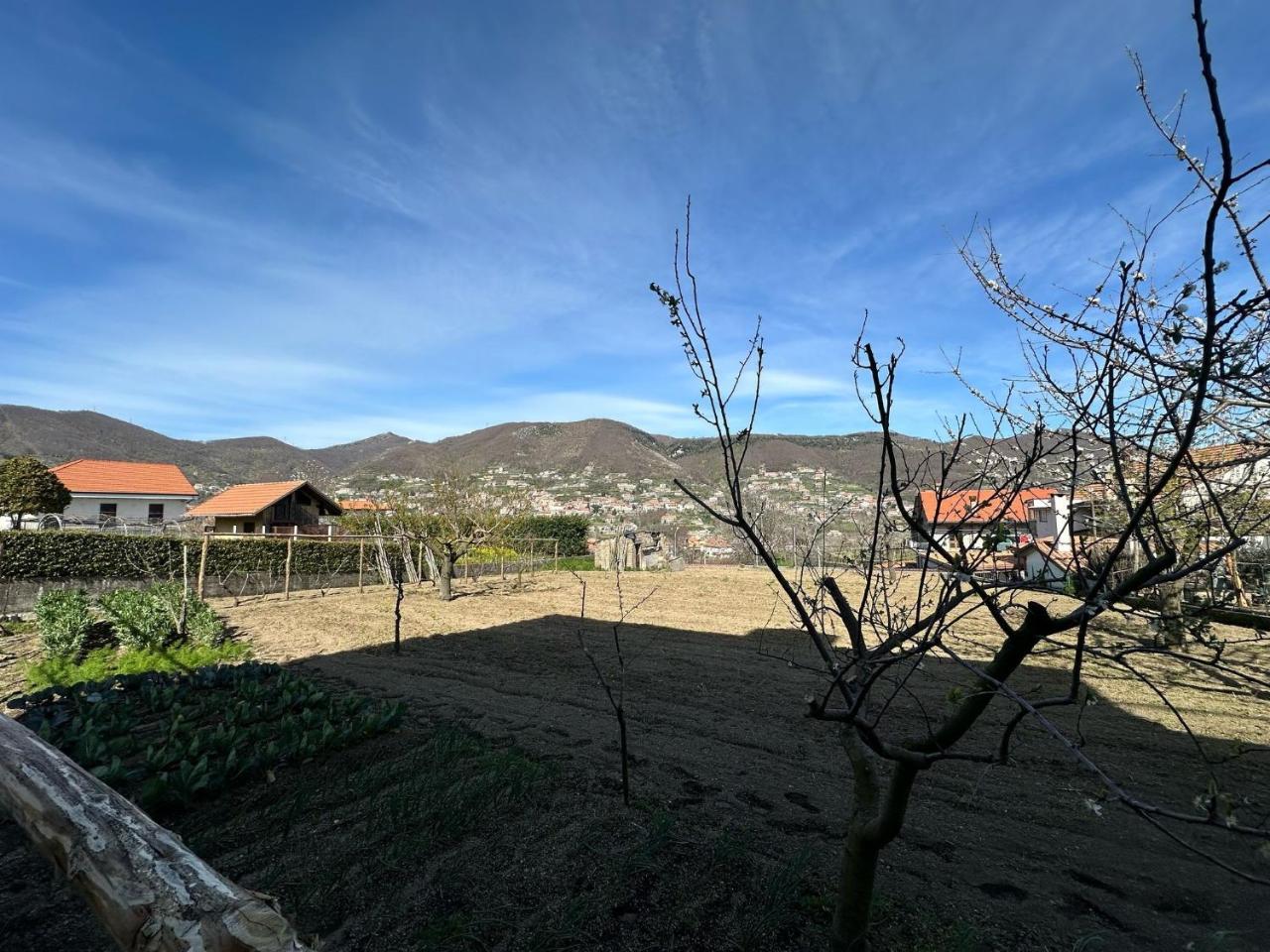 Zio Gennaro Residence - 4