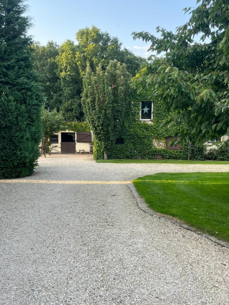 Kuhlmanns Hof - 3