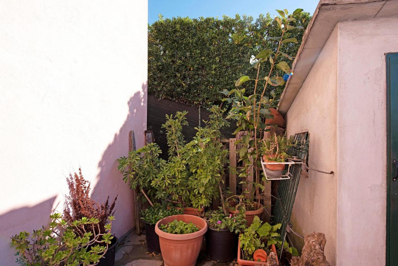 Villetta Rosa photo 4