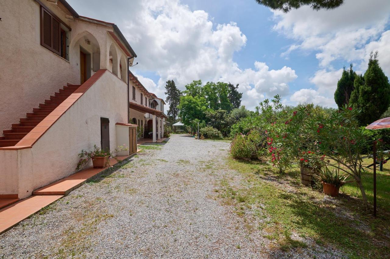 Antichi Palmenti - Mirto photo 3
