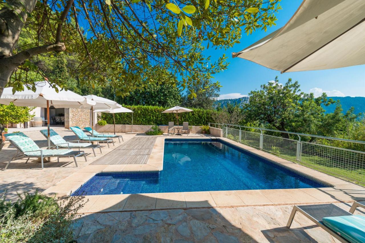 Finca Coster - 4