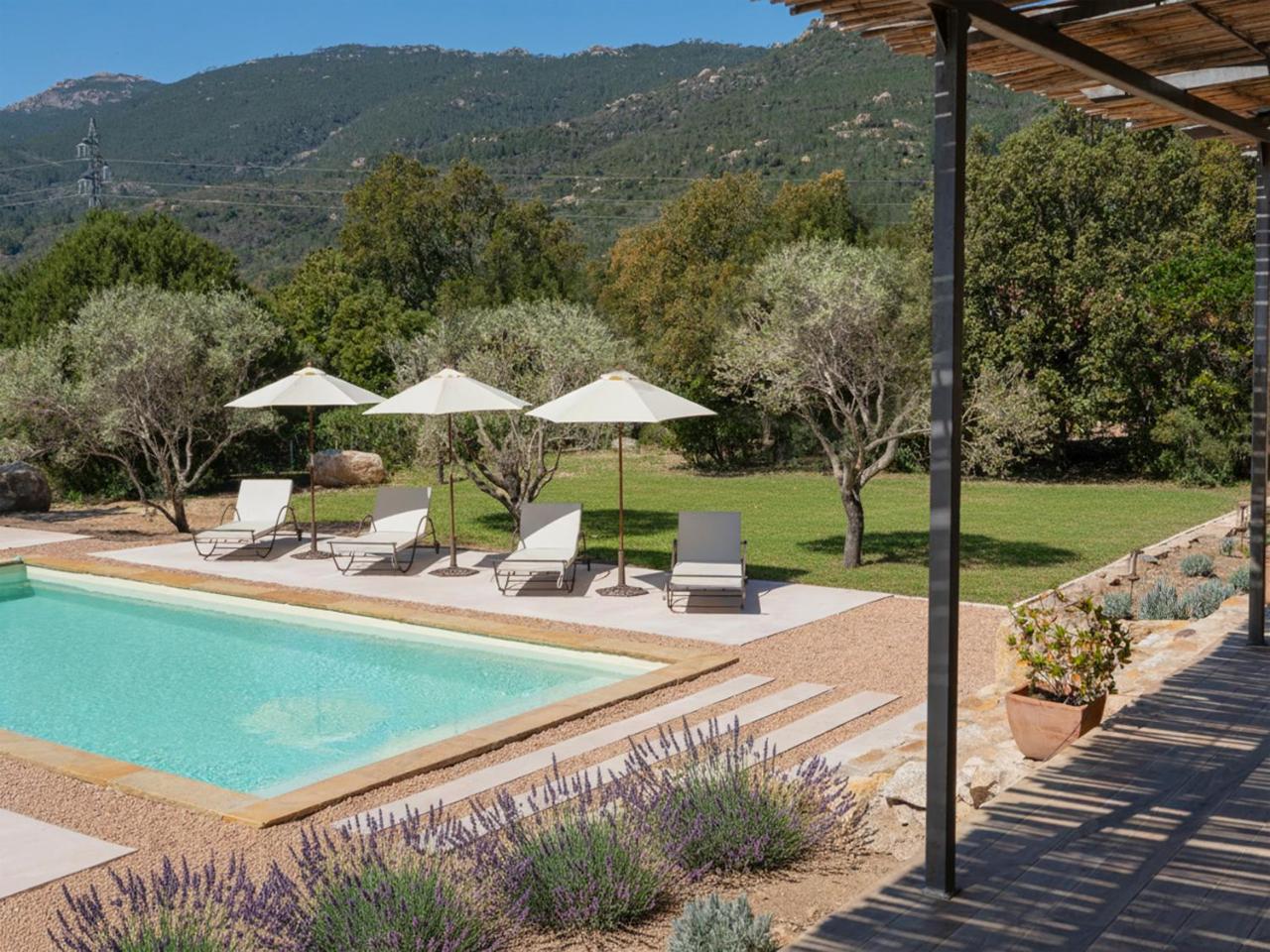 Villa Olivella - 5 ch - Piscine - 5' Saint Cyprien - 2