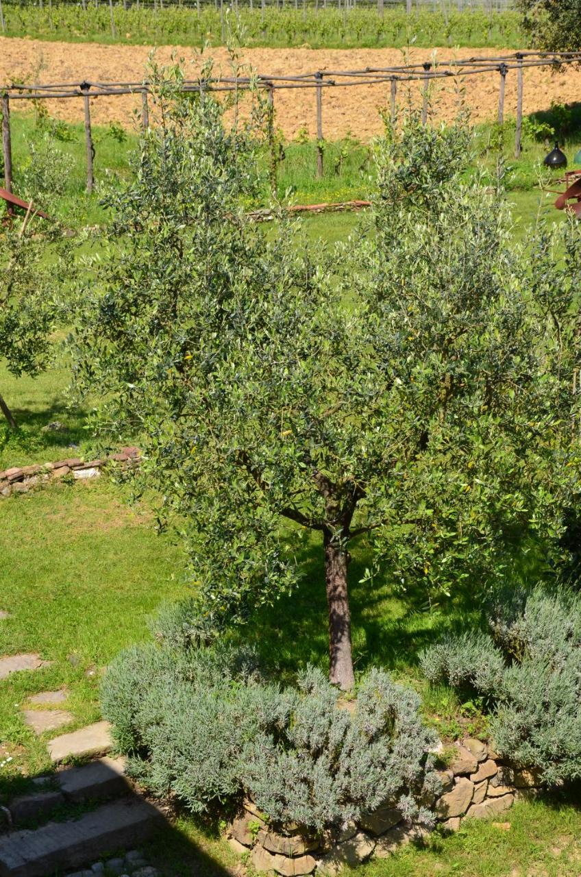 Agriturismo Al Podere Di Rosa photo 2