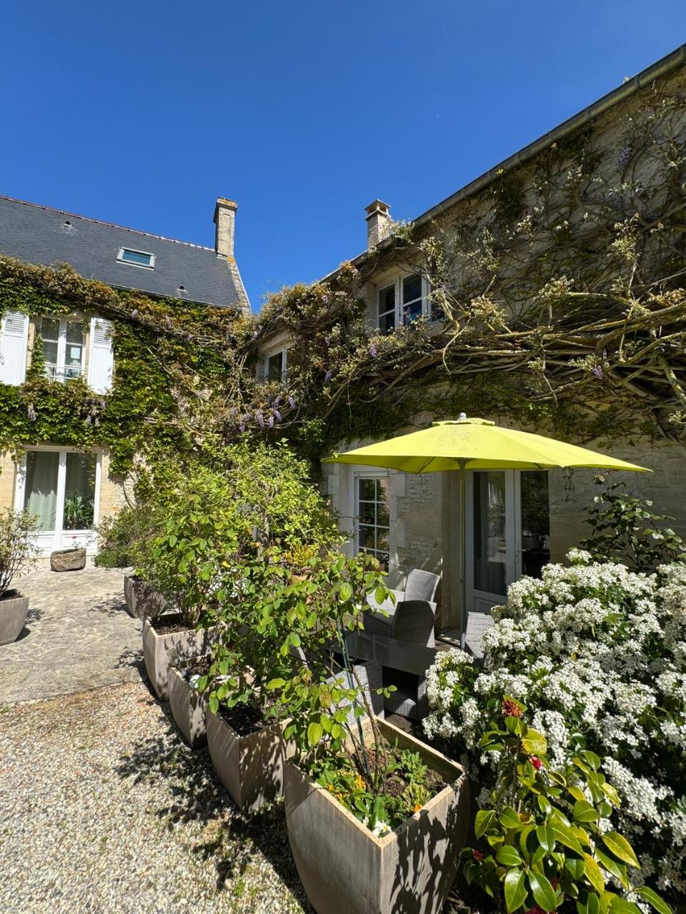 Mulberry Cottage - 6