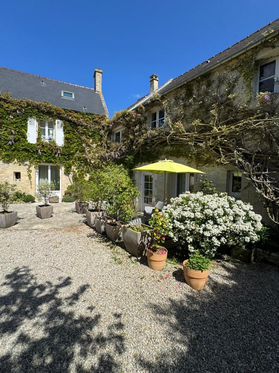 Mulberry Cottage - 4