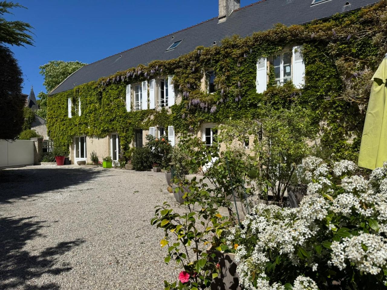 Mulberry Cottage - 3