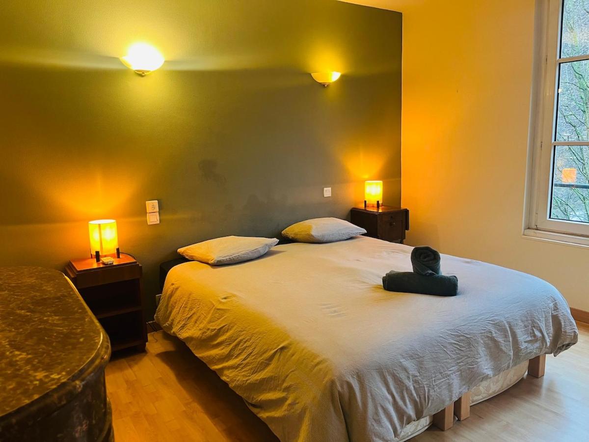 Cozy apartment facing Château d'Angers - 2