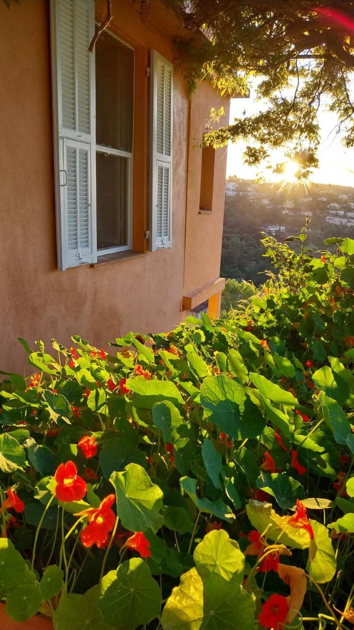 Appartement entre mer et montagne - 5