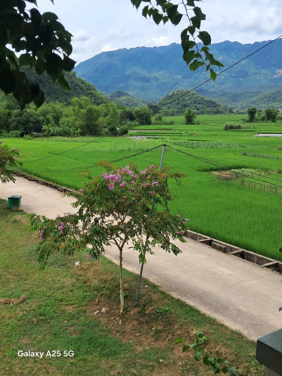 Mộc Nhiên Homstay Mai Chau