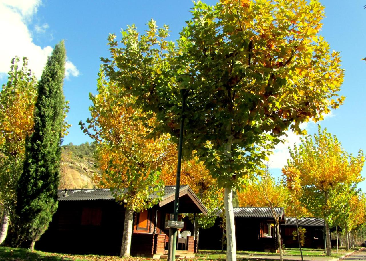 La Pedanía - Hotel Panadería y Bungalows Ligüerre de Cinca, photo 3
