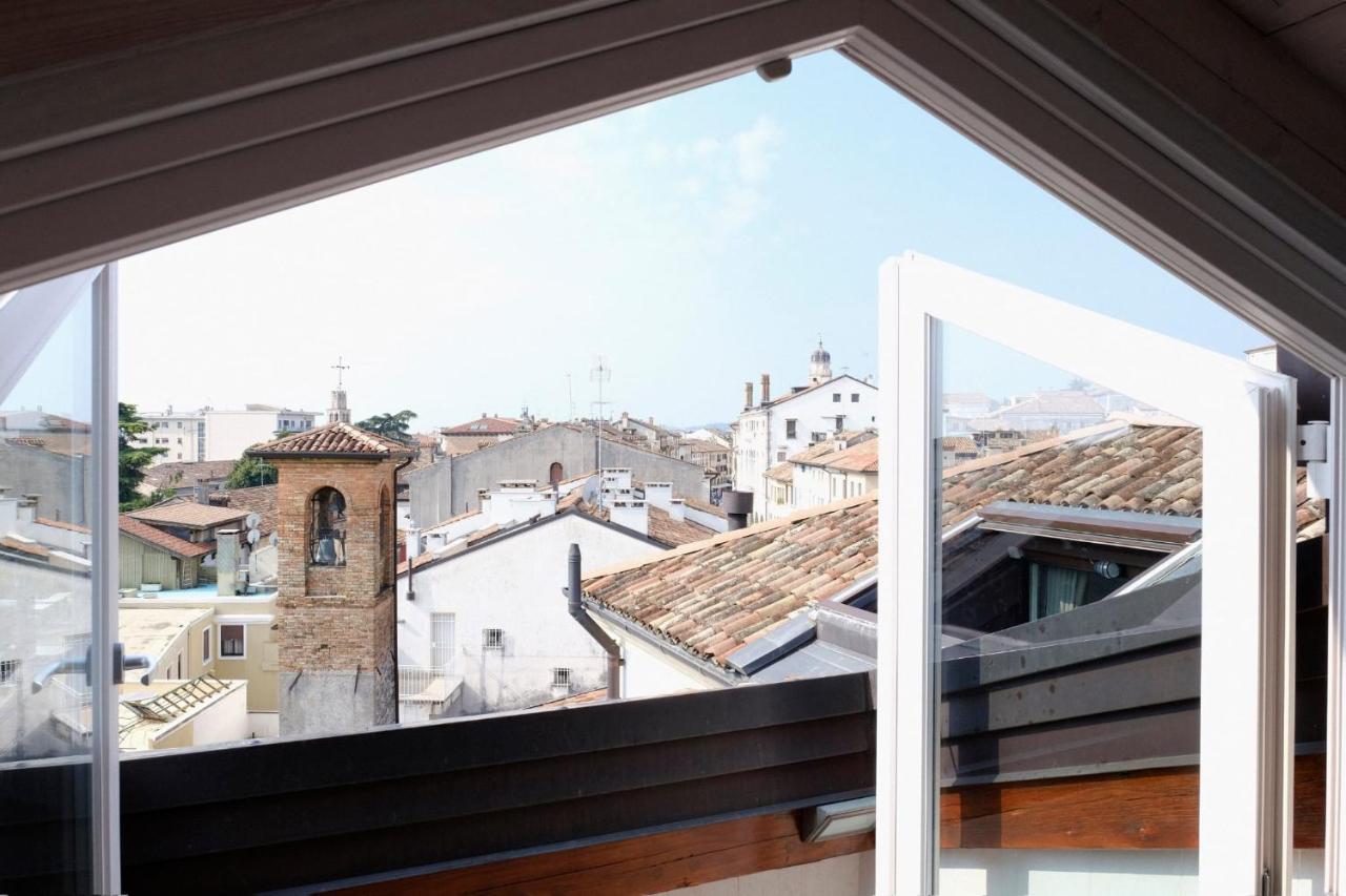 Rooftop nest - 2