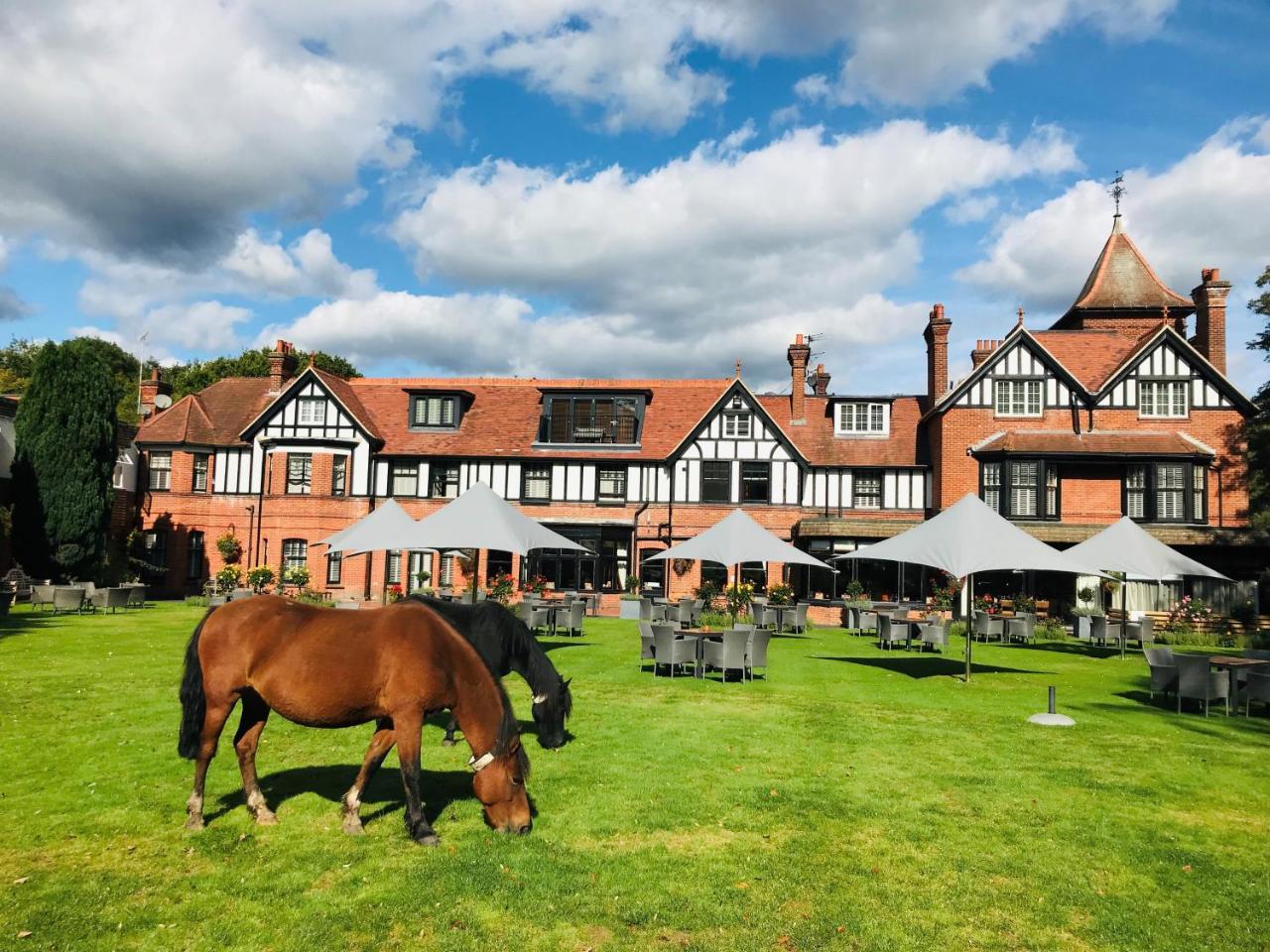 Forest Park Country Hotel & Inn, Brockenhurst, New Forest, Hampshire - The Coaching Inn Group - 3