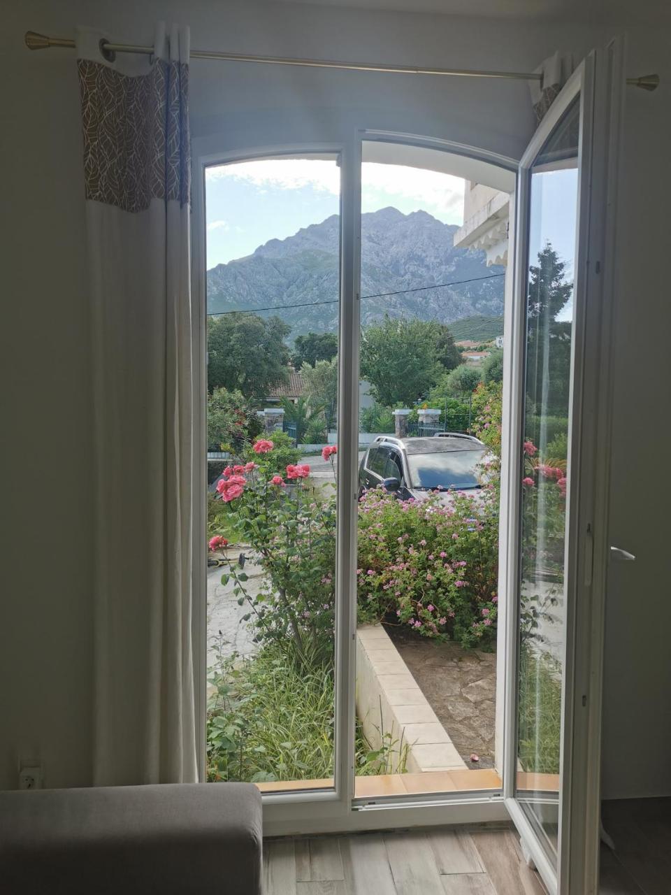Appartement T3 entre mer et montagne avec beau jardin - 5