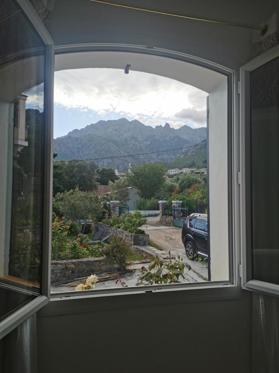 Appartement T3 entre mer et montagne avec beau jardin - 4