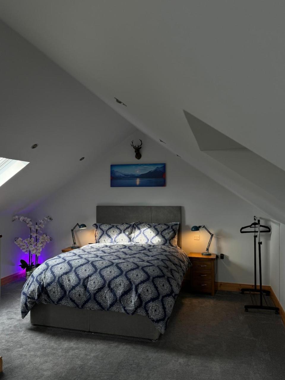 Lovely Studio apartment near Killarney, Co Kerry - 6