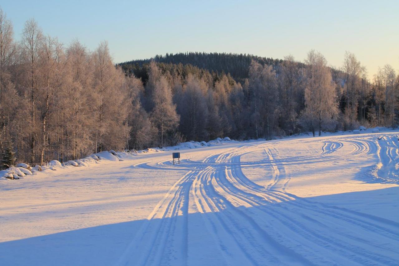 Maatilamatkailu Jänisvaara photo 4