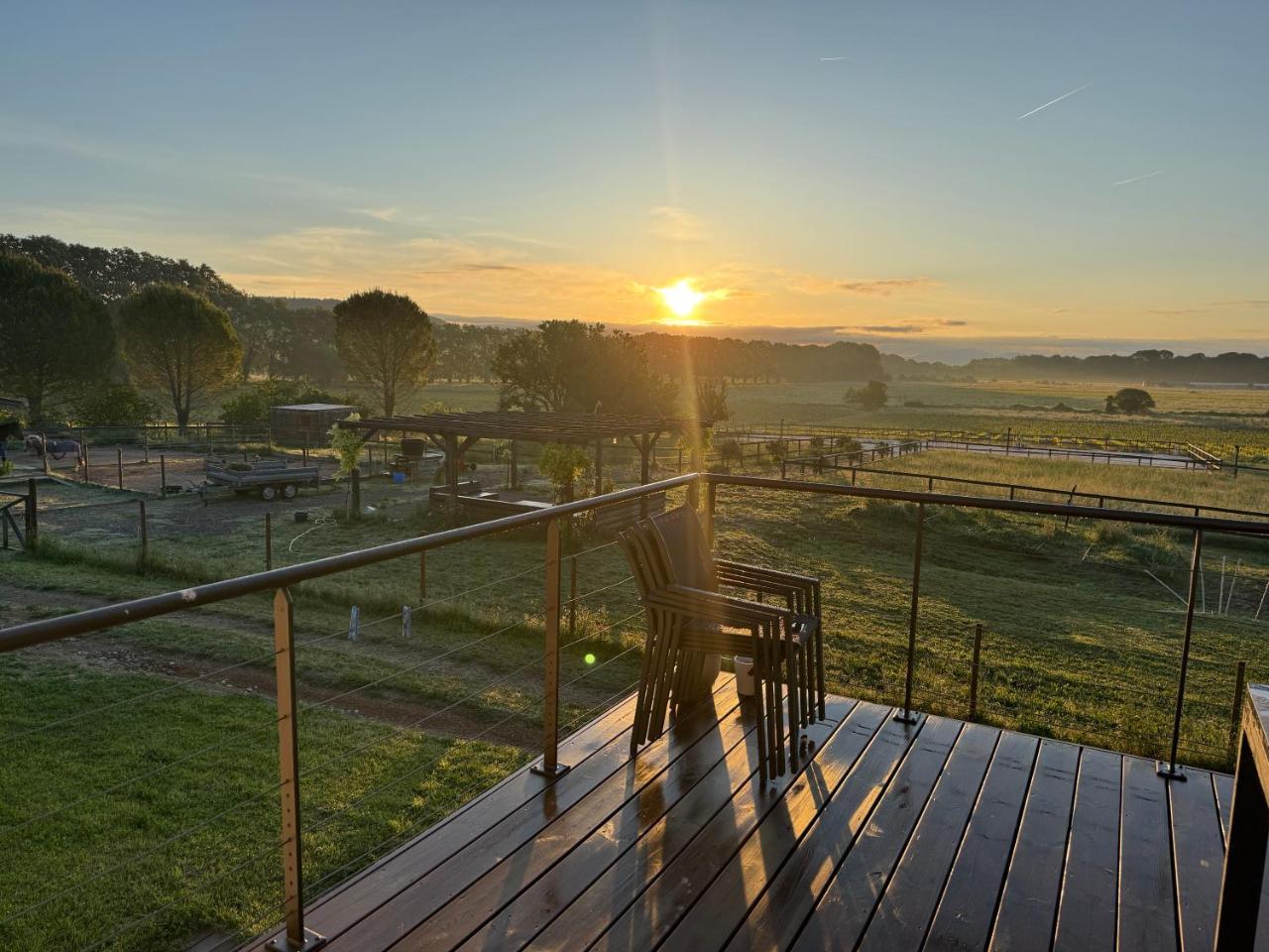 Studio cosy avec accueil chevaux - gîte équestre au calme - 5