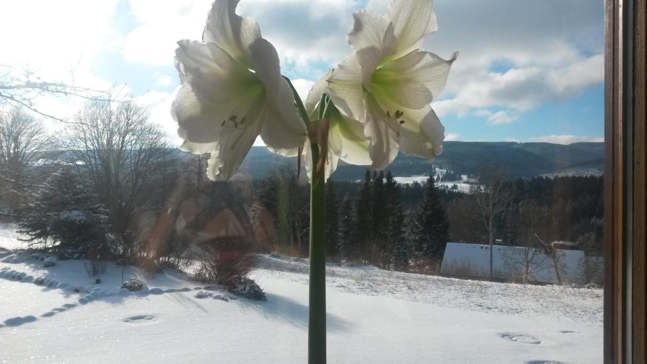 Hotel Gasthof Straub photo 4