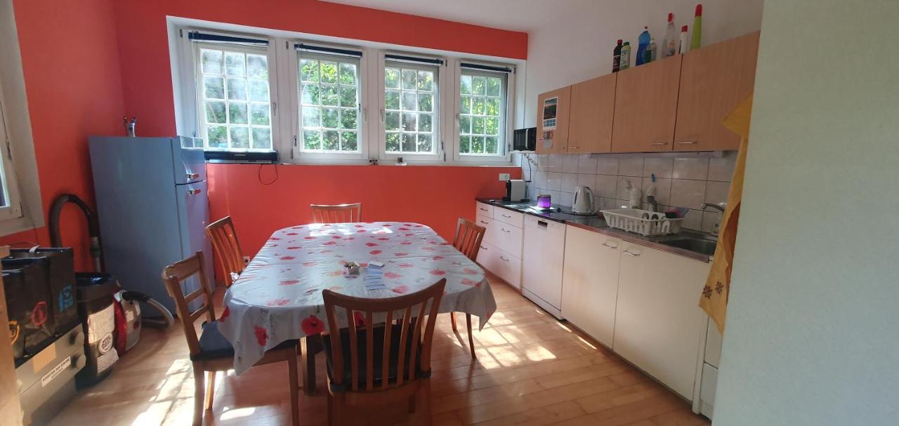 Zentral gelegene Wohnung mit grossem Garten - 4
