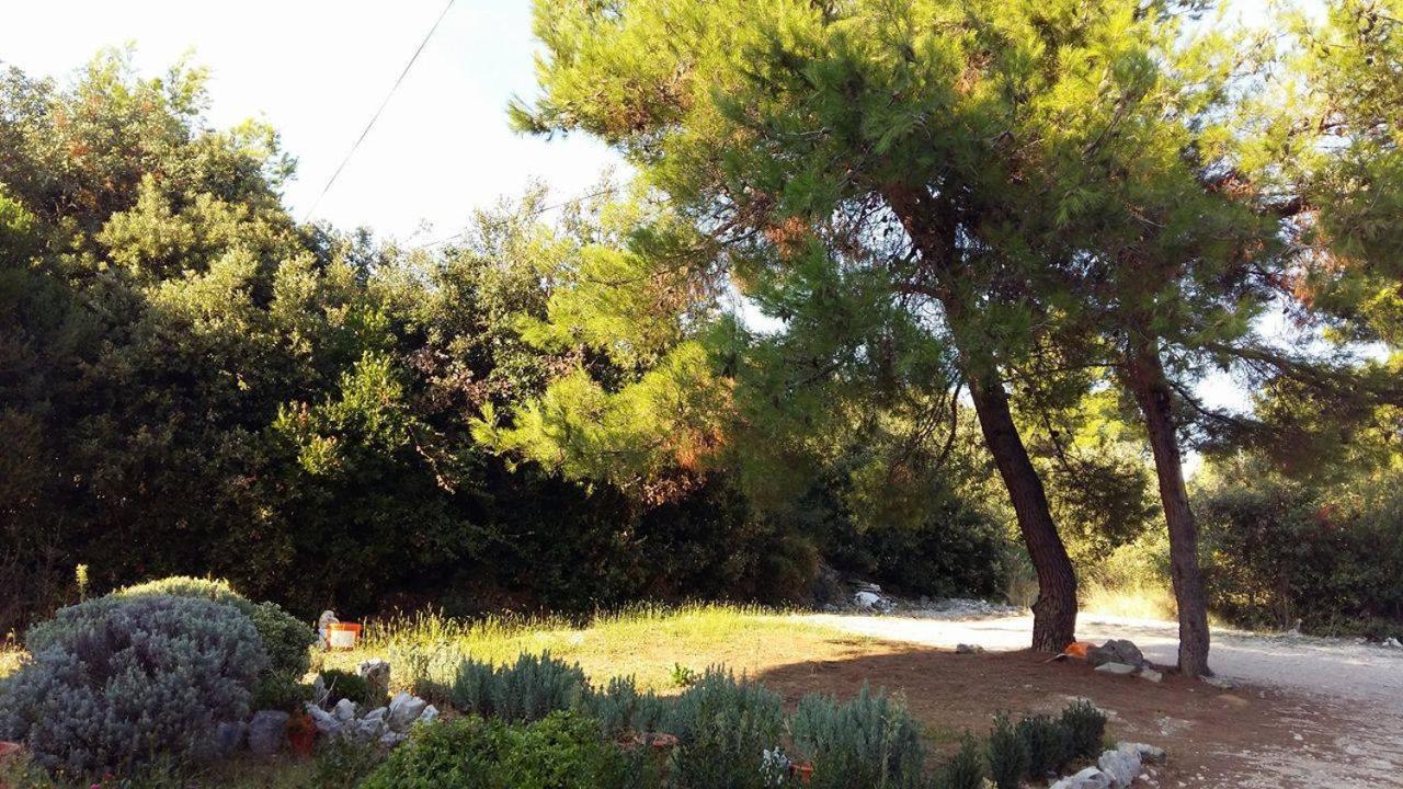Studio Apartments Marica - 6