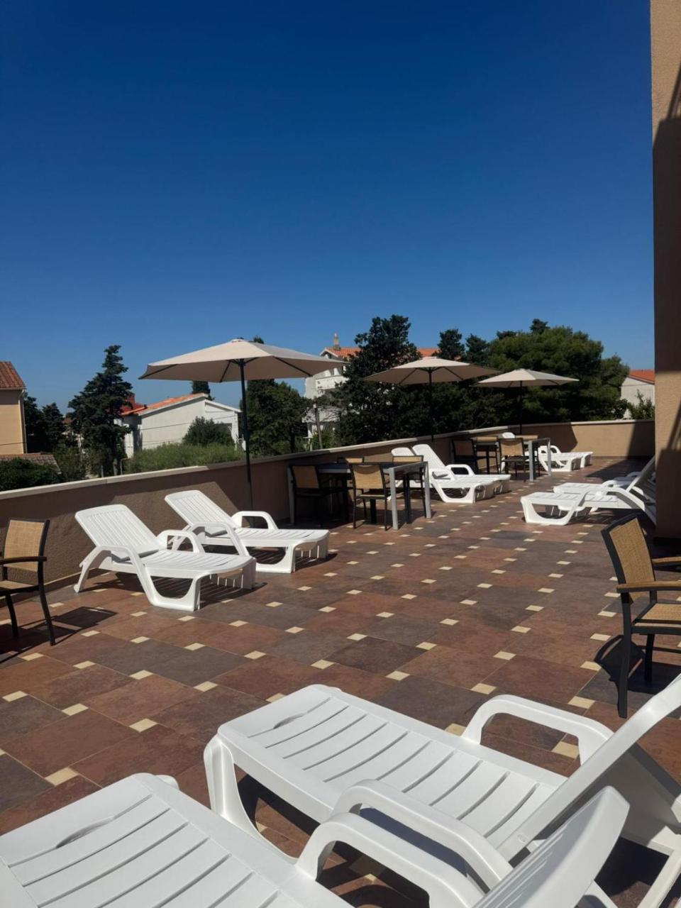 Hotel Terra Nova - 5