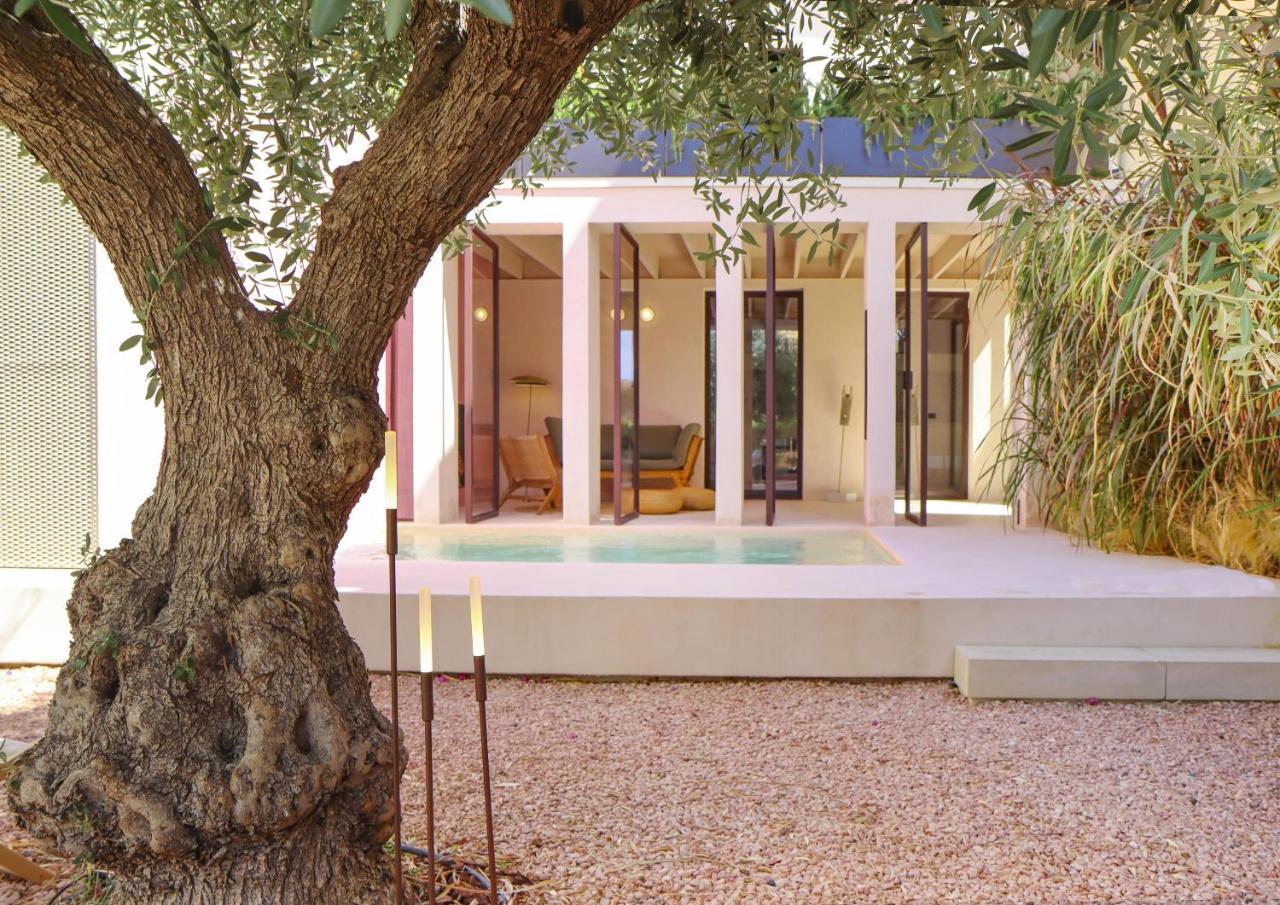 Villa Zenia - 5
